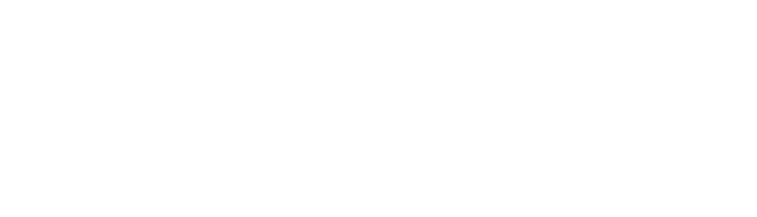 Copy of New Website Logos